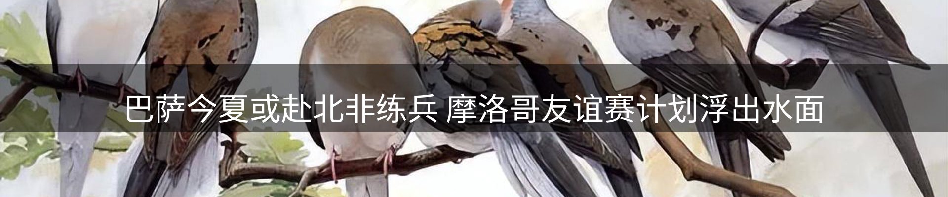 今日资讯
