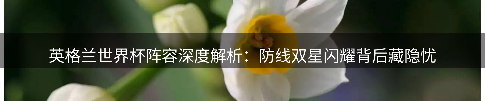 今日资讯